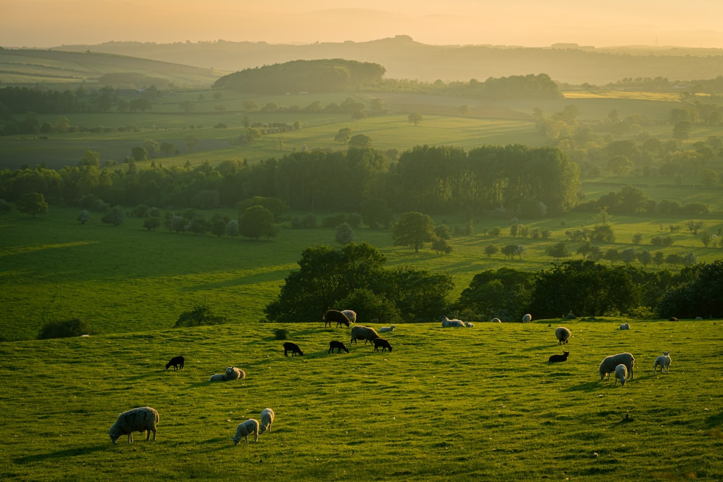 Novità legislative per le aziende agricole marchigiane